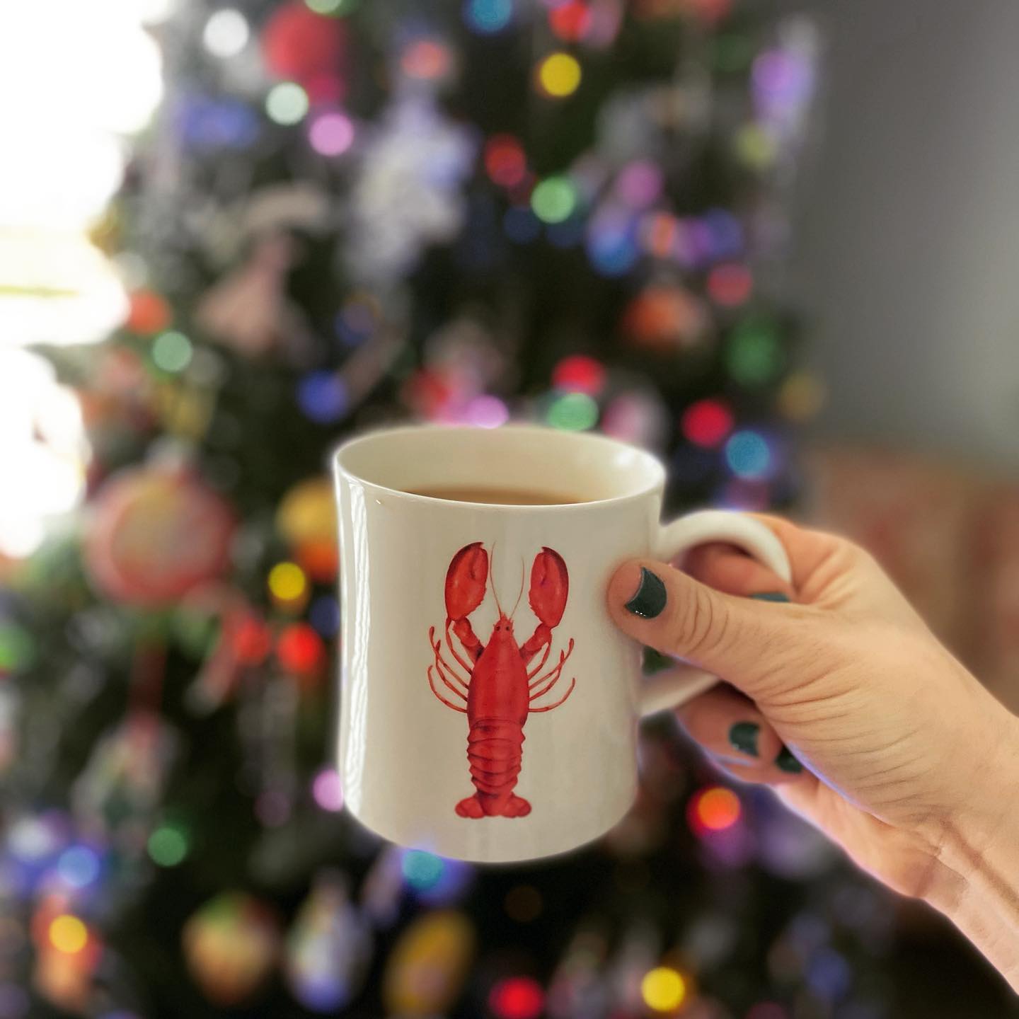 My favorite Christmas gift, purchased locally at @walker_lodenltd. #lobster #madisonconnecticut