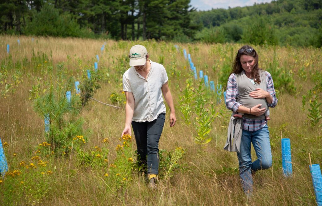Sarah Simon and Melissa Law walk through the hedgerow of perennials planted in April 2022, the same month that Melissa's daughter Lulu May was born.MOLLY HALEY FOR THE BOSTON GLOBE